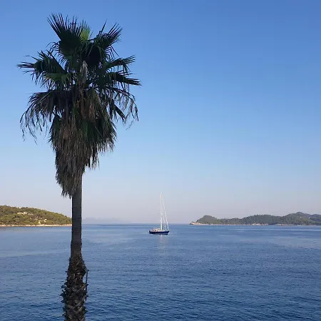 The Little ロプド