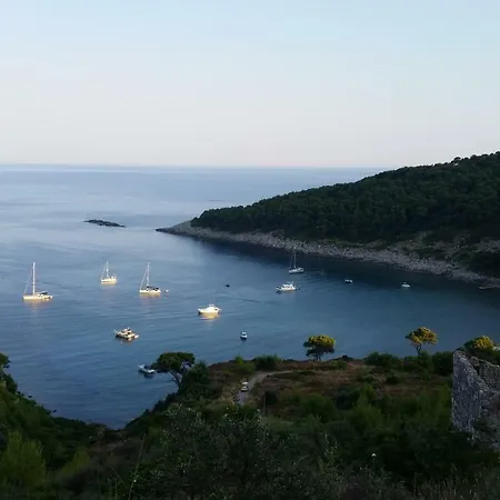 アパート The Little