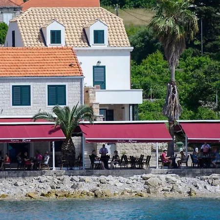 The Little ロプド